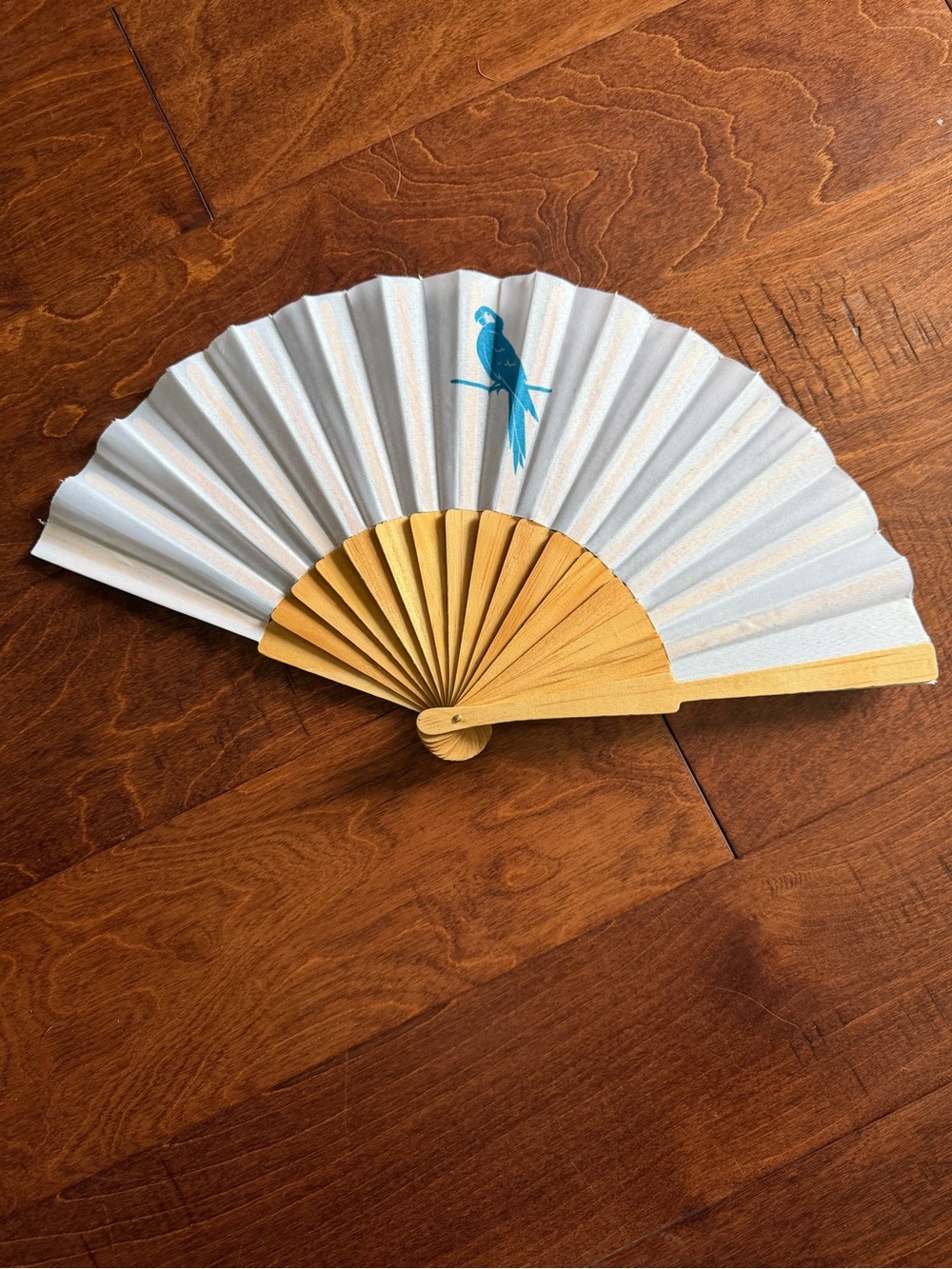 Margaritaville Folding Hand Fan with Teal Parrot